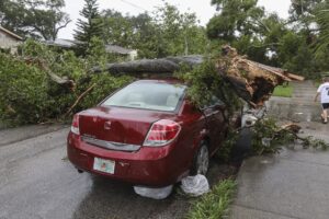 When Nature Strikes: Emergency Tree Removal After Storms and Disasters